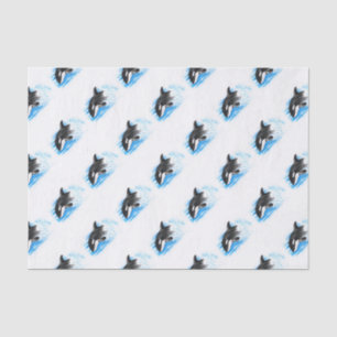 Orca Playing Tissue Paper