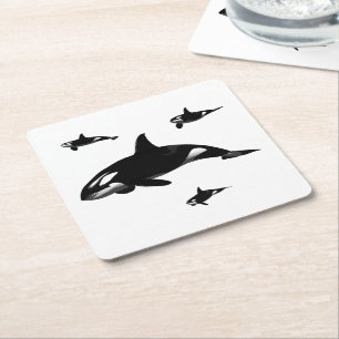 Orca Square Paper Coaster