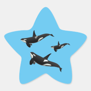 Orca Star Sticker