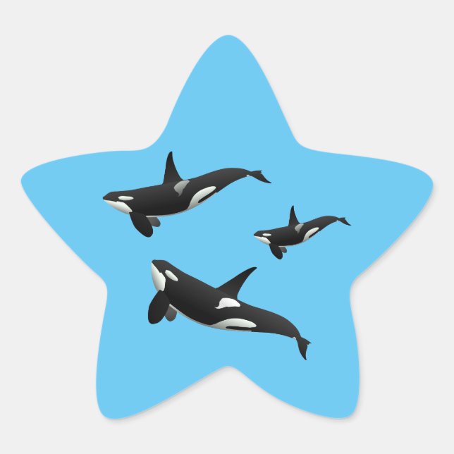 Orca Star Sticker (Front)