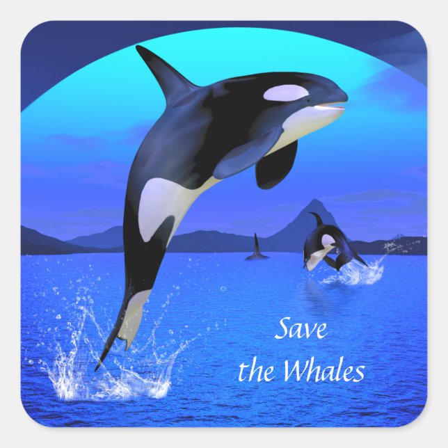 Orca Sticker (Front)
