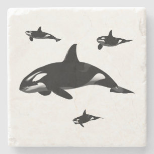 Orca Stone Coaster