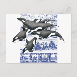 Orca Vintage Map II Postcard