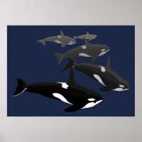 Orca Whale Art Poster Killer Whale Art Prints Gift