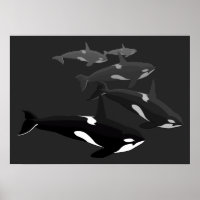 Orca Whale Art Poster Killer Whale Printed Canvas