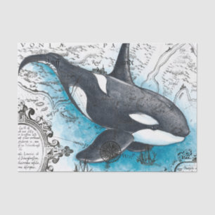 Orca Whale Blue Watercolor Nautical Map Tissue Paper
