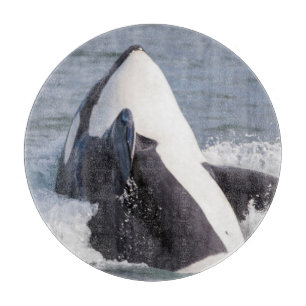 Orca whale breaching cutting board