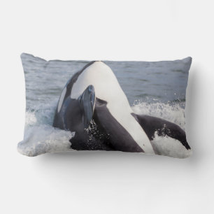 Orca whale breaching lumbar pillow