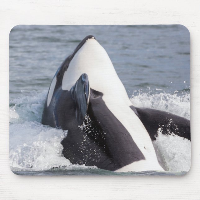 Orca whale breaching mouse pad (Front)