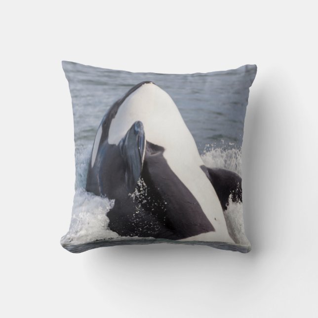 Orca whale breaching throw pillow (Front)