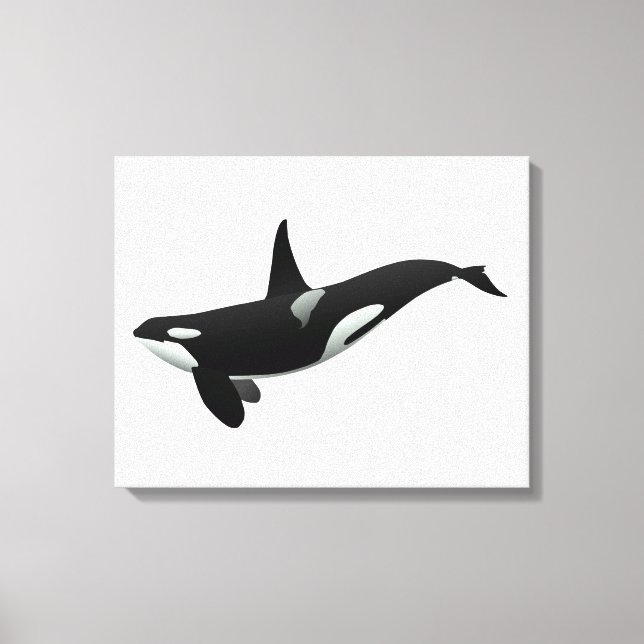 Orca whale illustration - Choose background colour Canvas Print (Front)