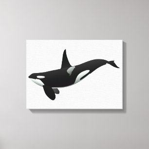 Orca whale illustration - Choose background colour Canvas Print