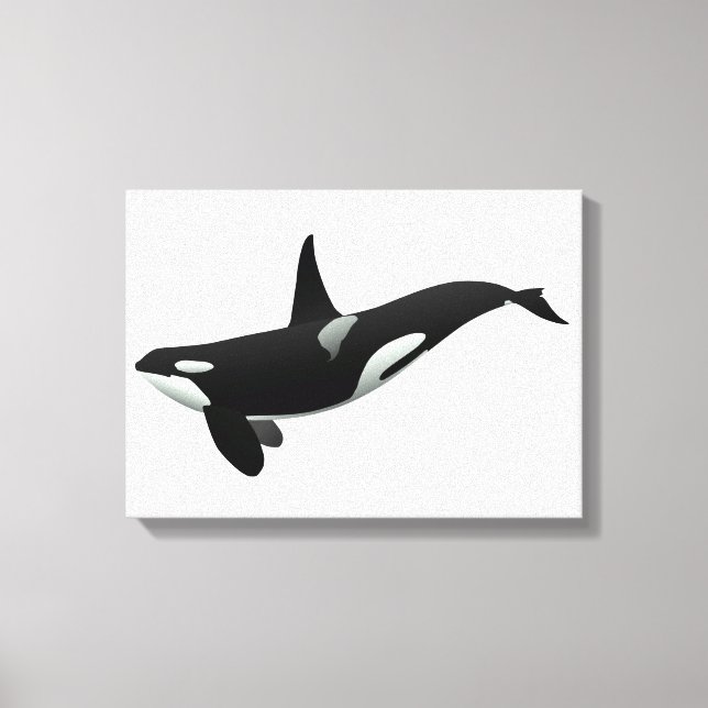 Orca whale illustration - Choose background colour Canvas Print (Front)