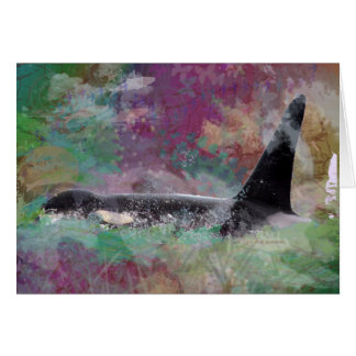 Orca Whale Orcinus Cloud Fantasy