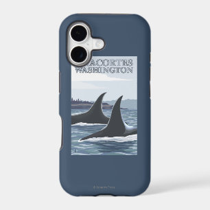 Orca Whales #1 - Anacortes, Washington