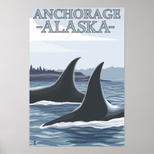 Orca Whales #1 - Anchorage, Alaska Poster