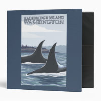 Orca Whales #1 - Bainbridge Island, Washington