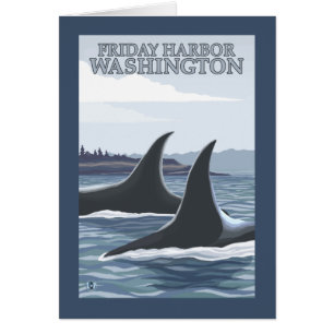 Orca Whales #1 - Friday Harbour, Washington