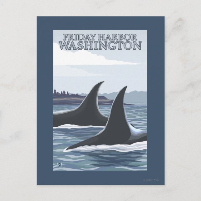 Orca Whales #1 - Friday Harbour, Washington Postcard (Front)