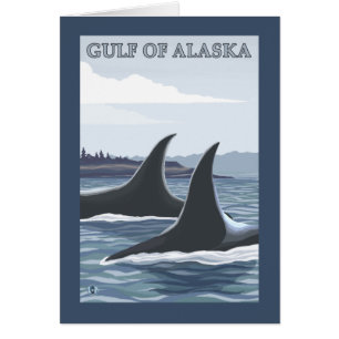 Orca Whales #1 - Golfe de l'Alaska