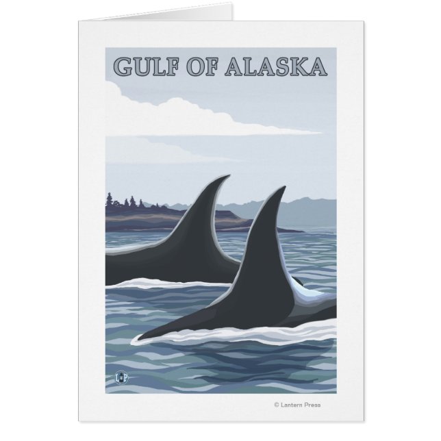 Orca Whales #1 - Gulf of Alaska (Front)