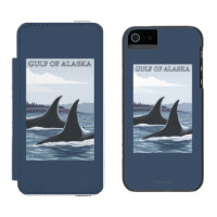 Orca Whales #1 - Gulf of Alaska