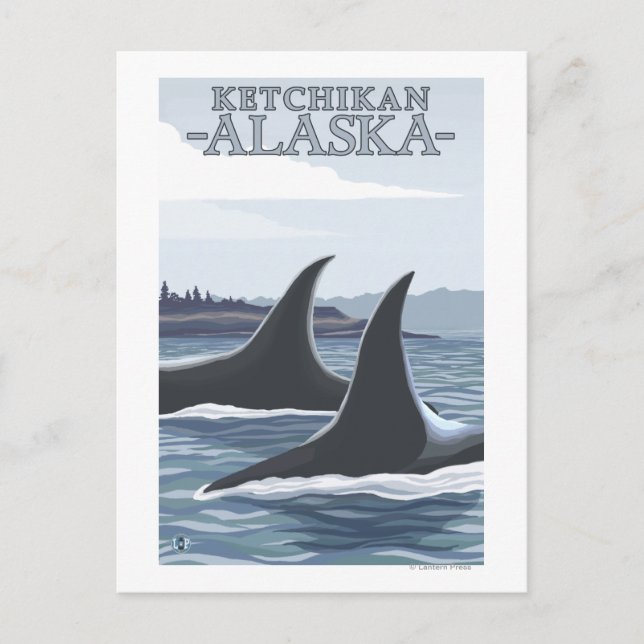 Orca Whales #1 - Ketchikan, Alaska Postcard (Front)