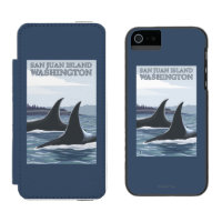 Orca Whales #1 - San Juan Island, Washington