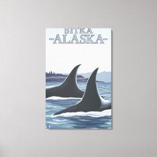 Orca Whales #1 - Sitka, Alaska Canvas Print