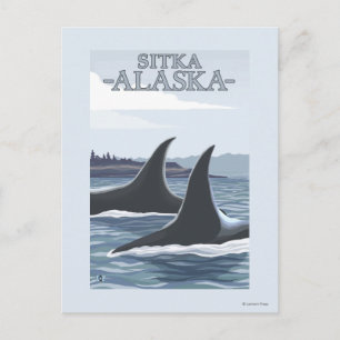Orca Whales #1 - Sitka, Alaska Postcard