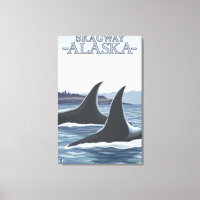 Orca Whales #1 - Skagway, Alaska