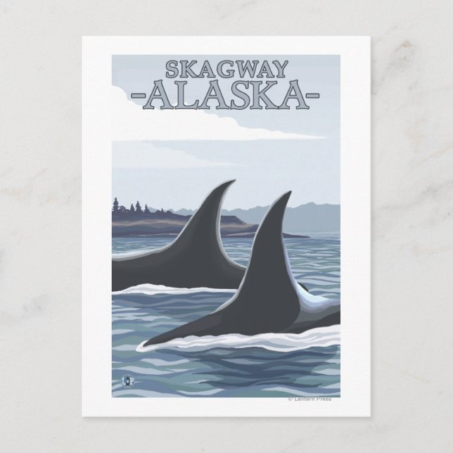 Orca Whales #1 - Skagway, Alaska Postcard (Front)