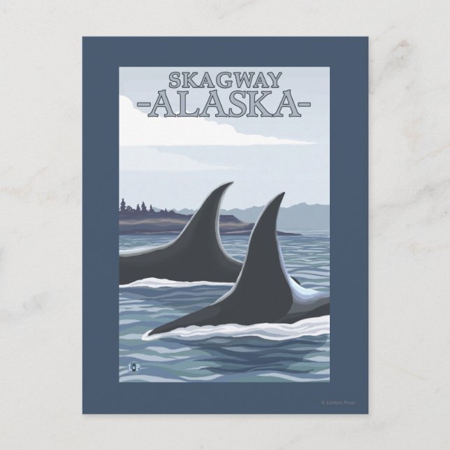 Orca Whales #1 - Skagway, Alaska Postcard (Front)