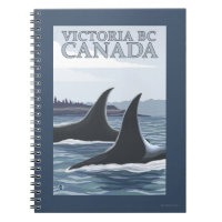 Orca Whales #1 - Victoria, BC Canada