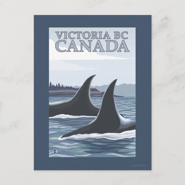 Orca Whales #1 - Victoria, BC Canada Postcard (Front)