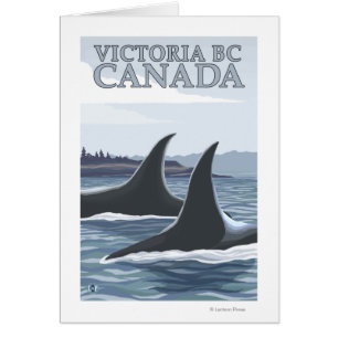 Orca Whales #1 - Victoria, C.-B. Canada