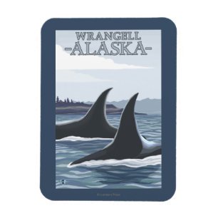 Orca Whales #1 - Wrangell, Alaska Magnet