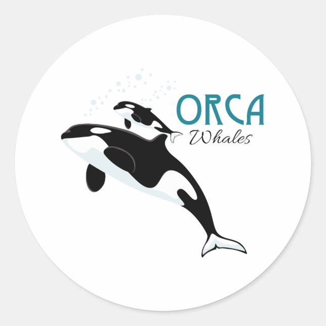 Orca Whales Classic Round Sticker (Front)