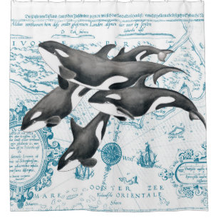 Orca whales family ancient blue