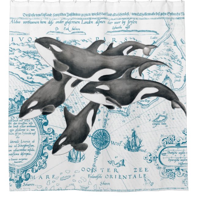 Orca whales family ancient blue (Front)