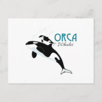 Orca Whales