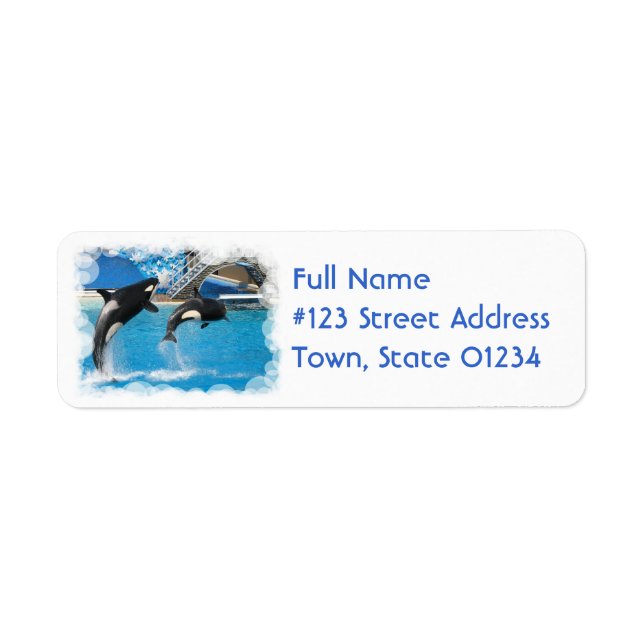Orca Whales Return Address Label (Front)