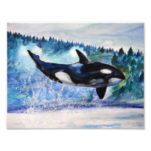 Orca wildlife watercolor photo print