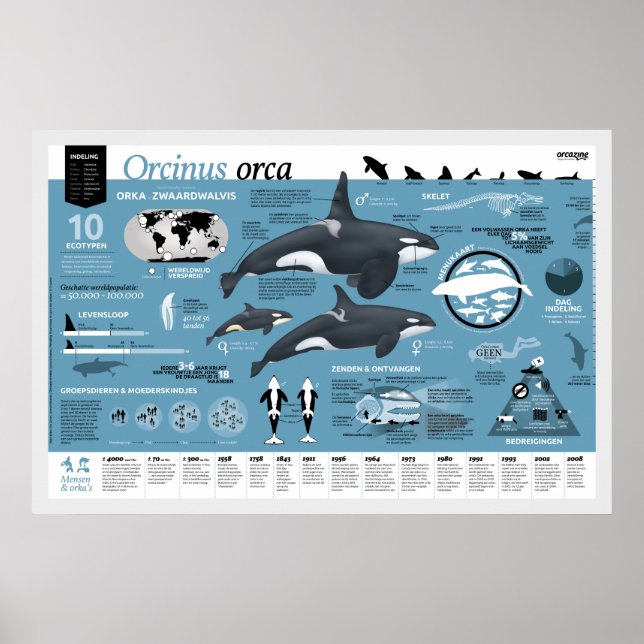 Orcagraphic poster - Nederlandse editie (Front)