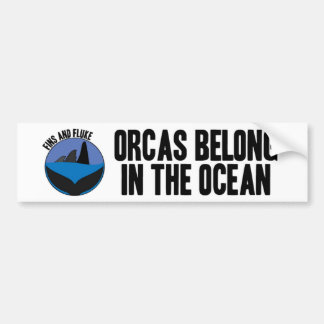 Orcas Belong in the Ocean Bumper Sticker