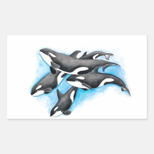 orcas in blue sticker (Front)