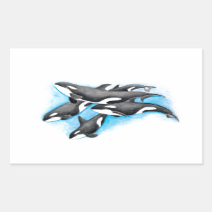 orcas in blue sticker
