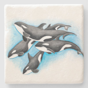 orcas in blue stone coaster