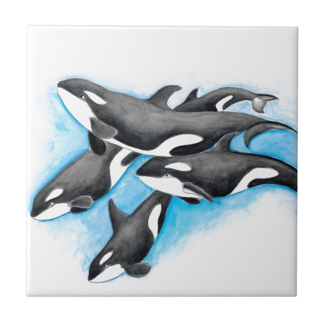 orcas in blue tile (Front)