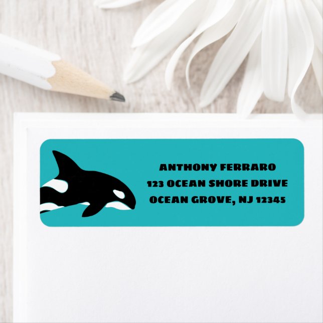 Orcas Killer Whales Turquoise Blue Adresse de reto (En situation)